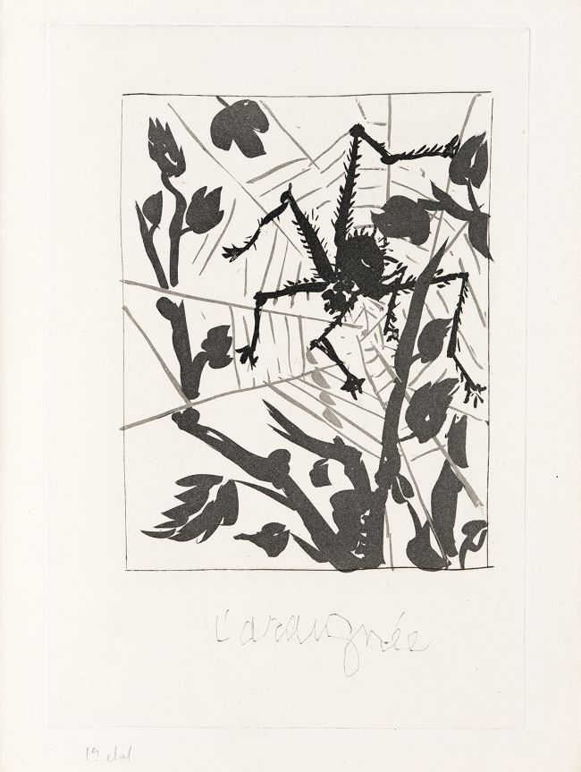 estampe L'araignée (Baer 600) Pablo Picasso