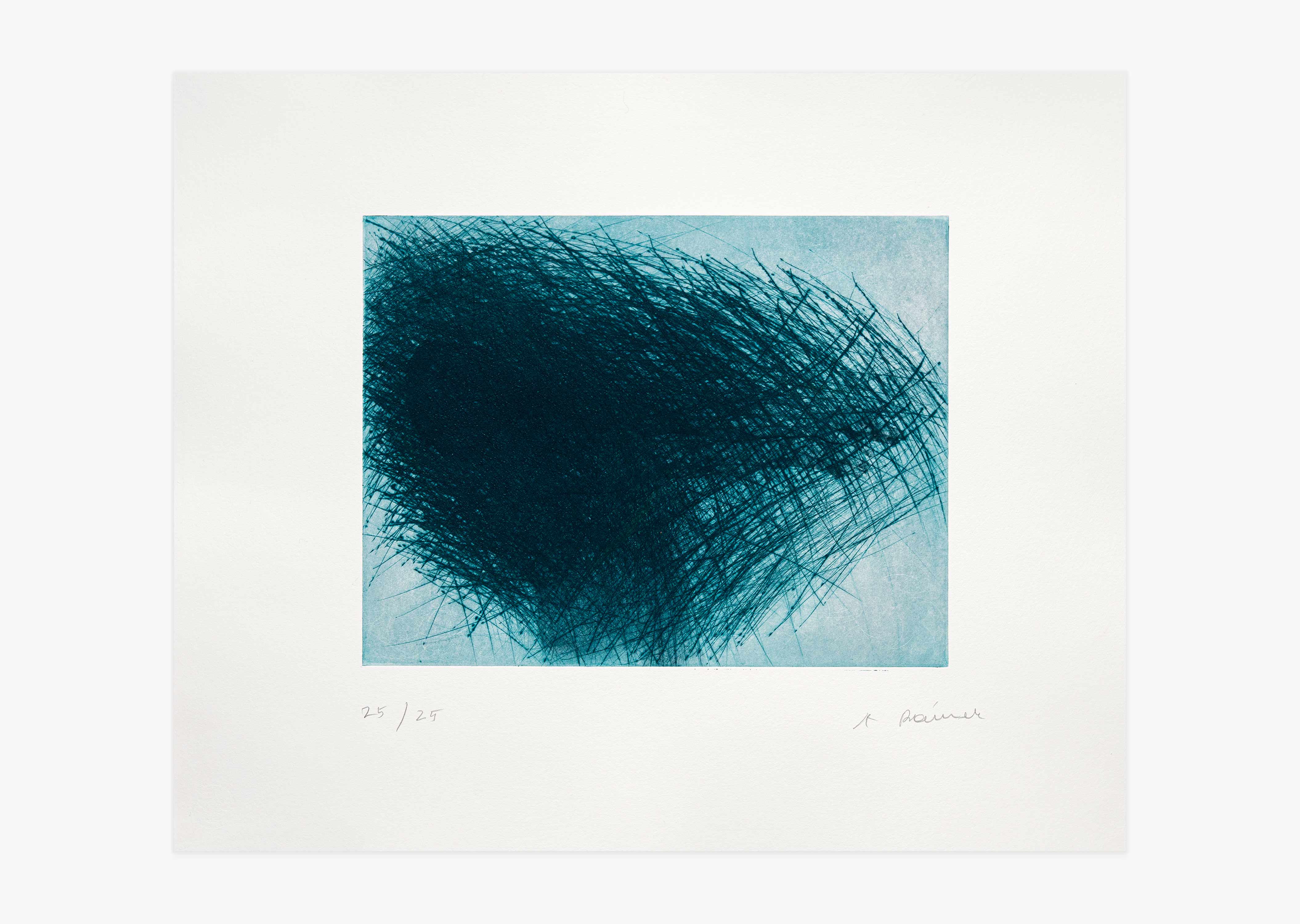estampe Schwarm Arnulf Rainer