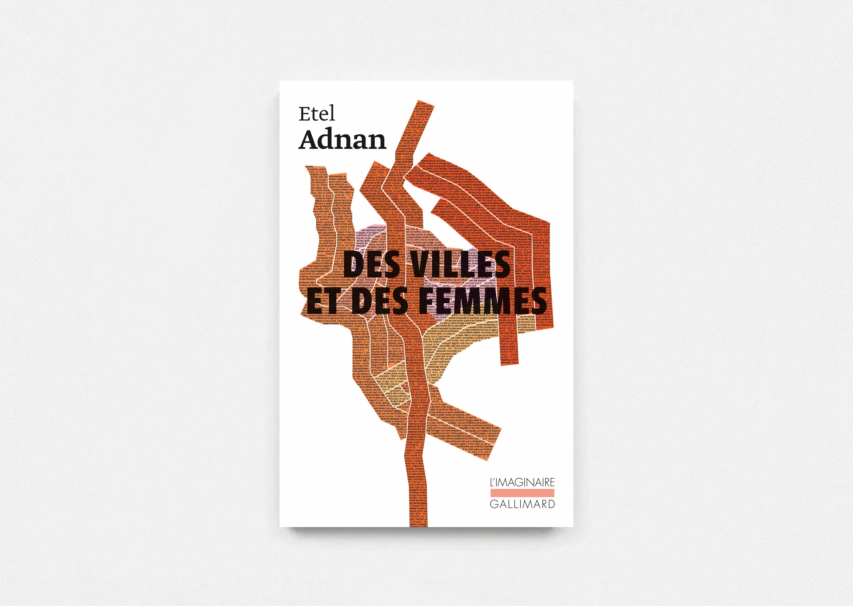 livre Des villes et des femmes Etel Adnan
