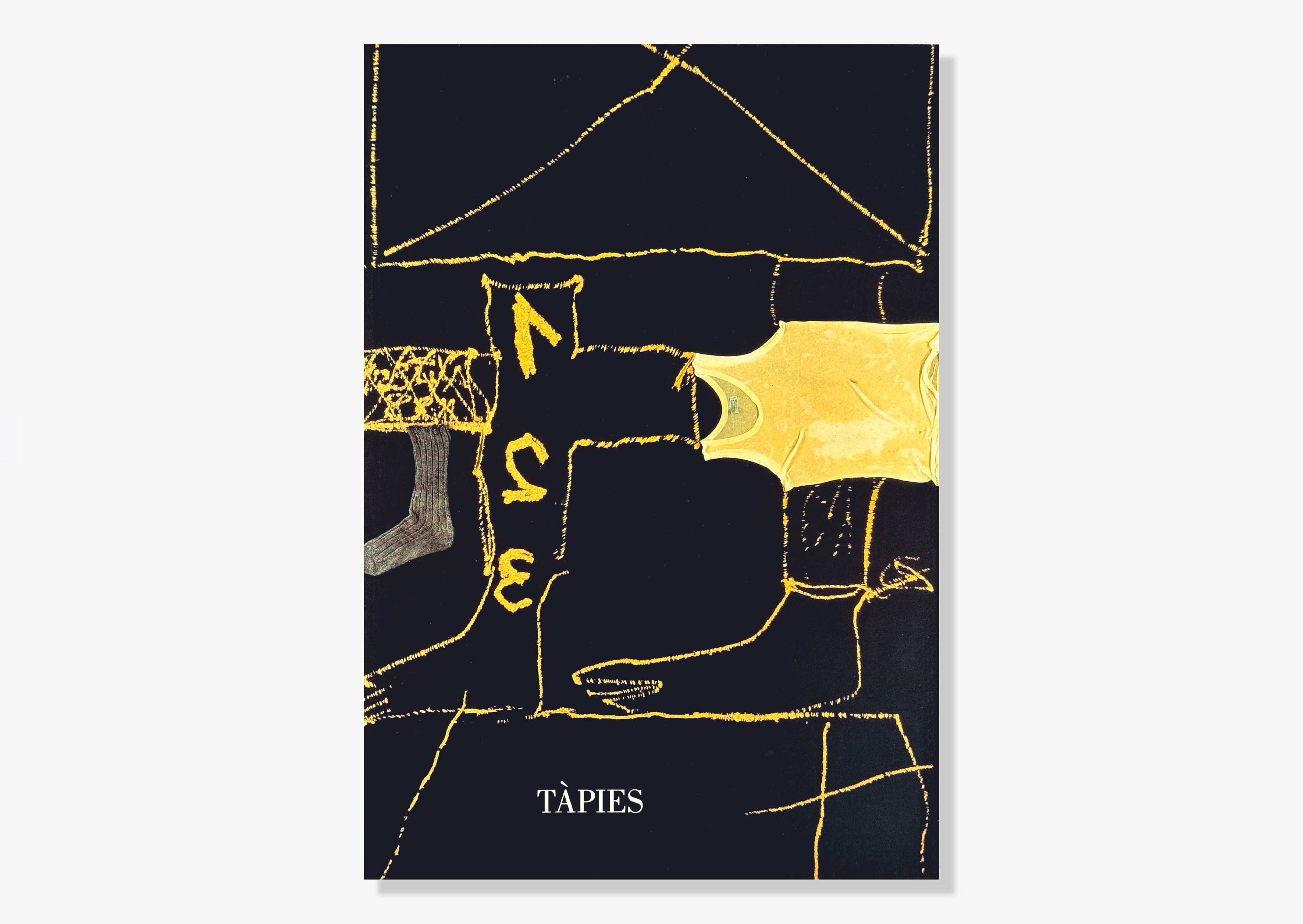 livre Peintures 1995 Antoni Tàpies
