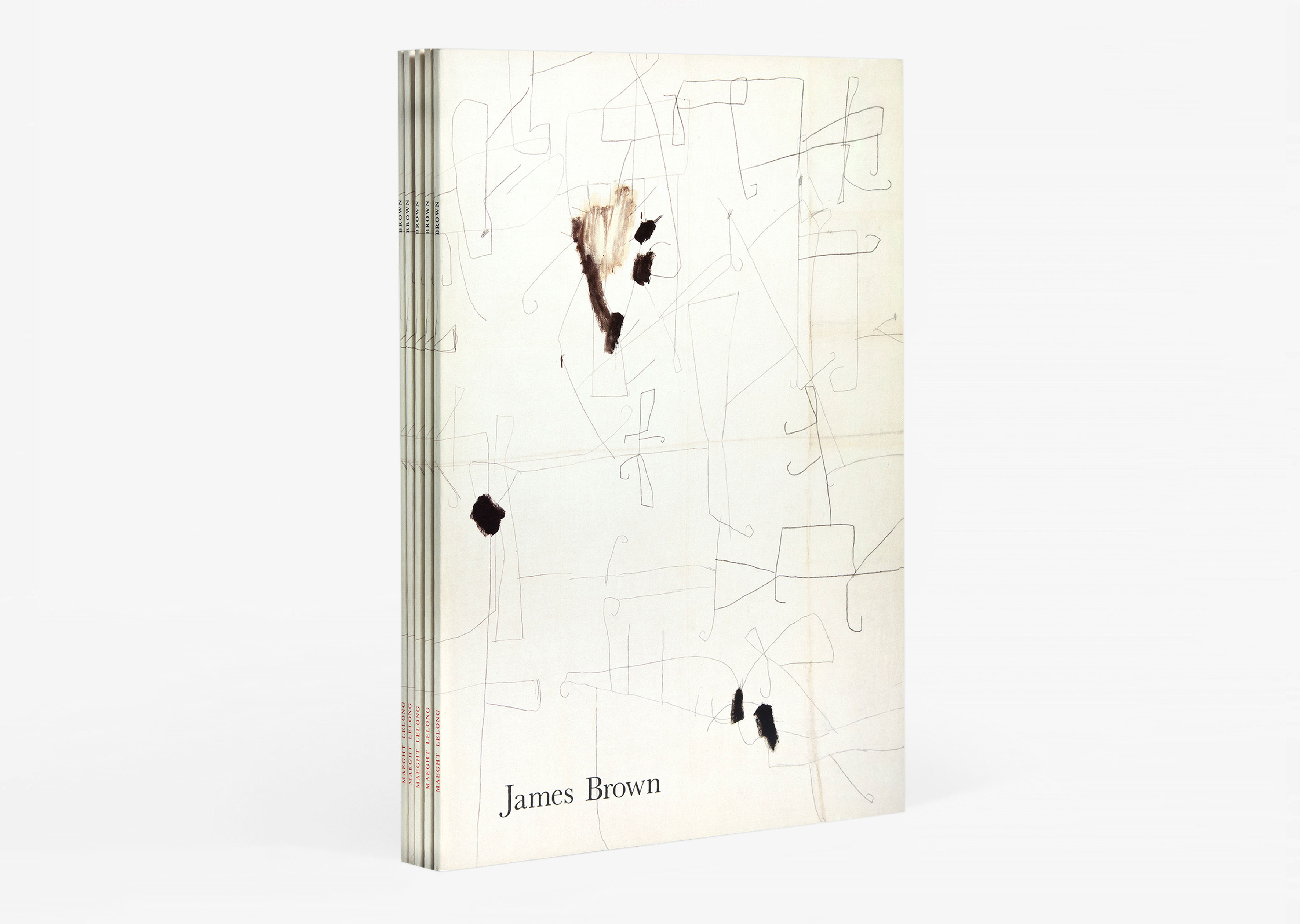 livre James Brown James Brown