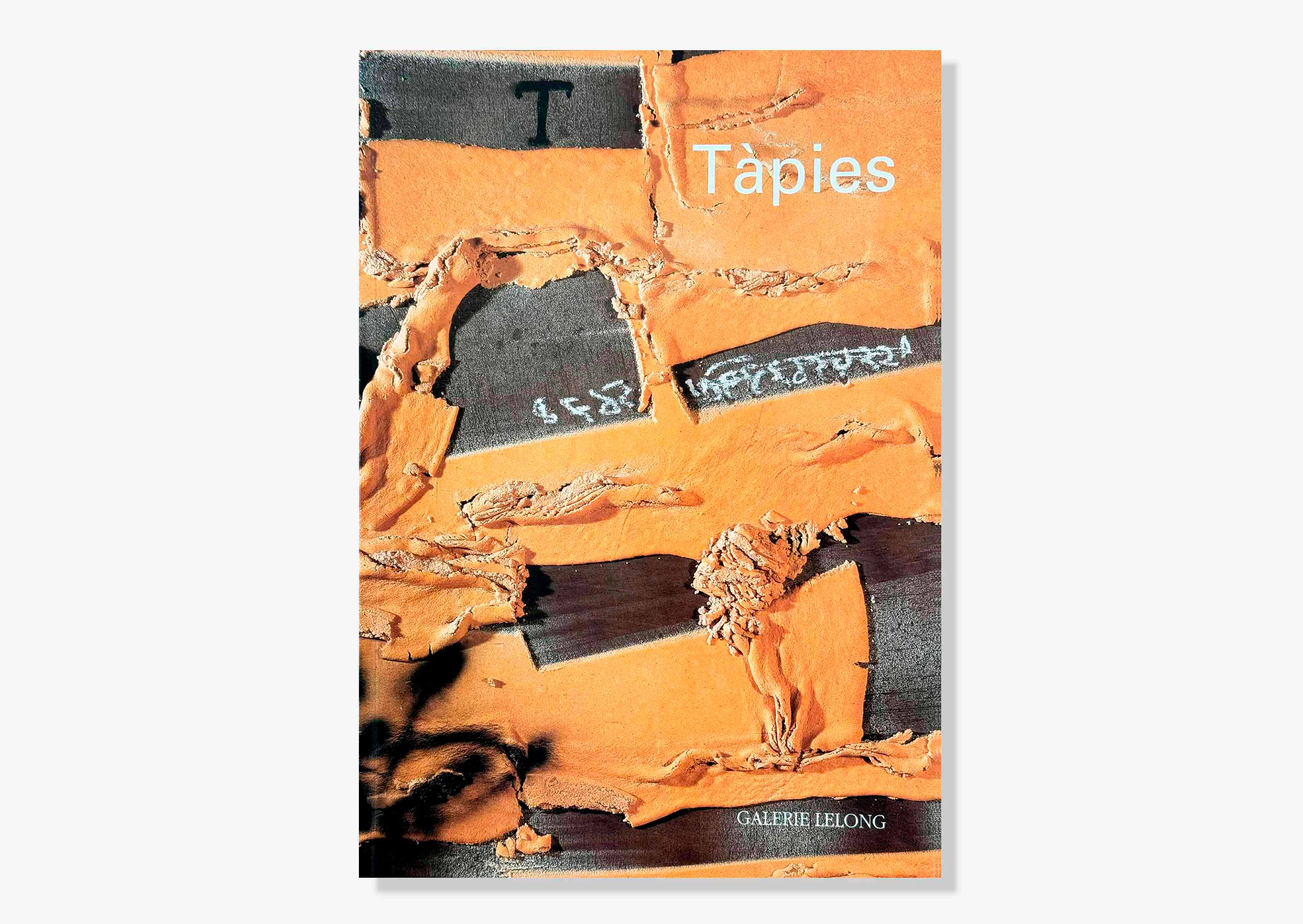 livre Tàpies Antoni Tàpies