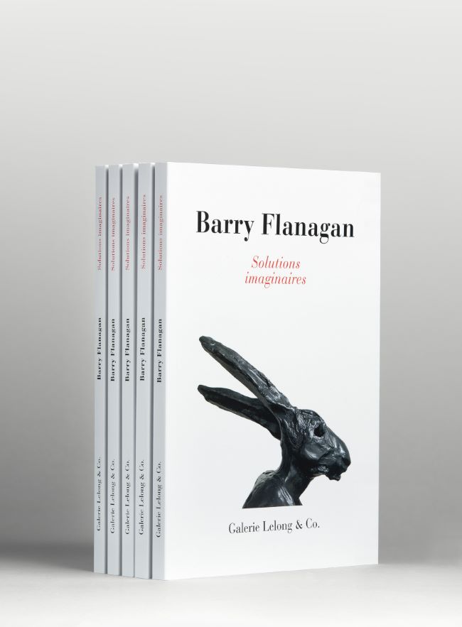 livre Solutions Imaginaires Barry Flanagan