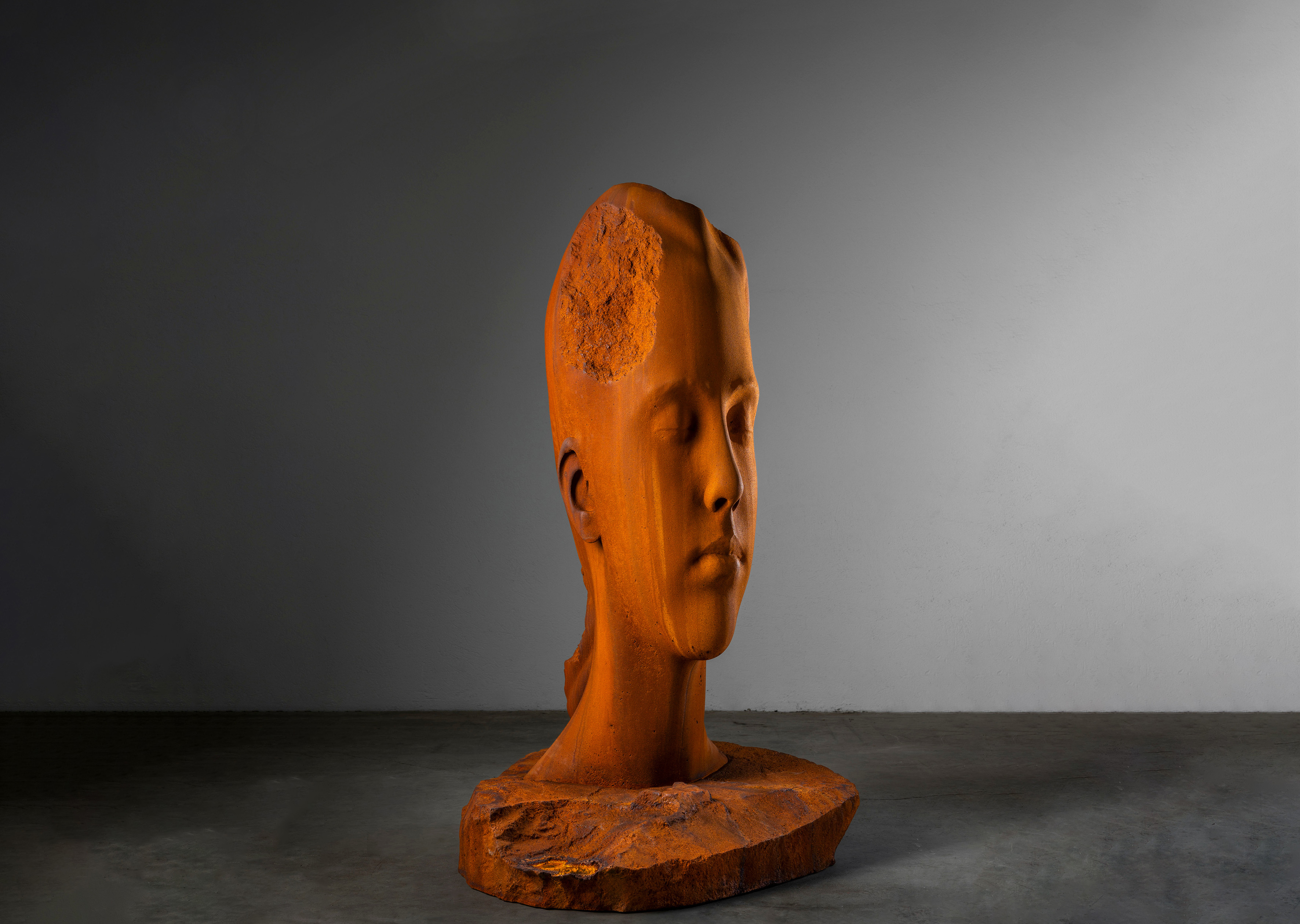 oeuvre Juana Jaume Plensa